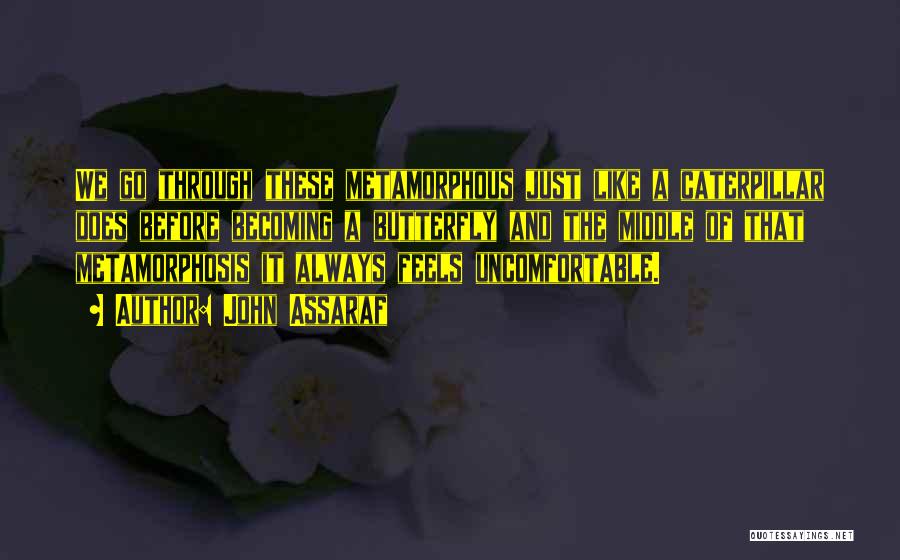 John Assaraf Quotes: We Go Through These Metamorphous Just Like A Caterpillar Does Before Becoming A Butterfly And The Middle Of That Metamorphosis
