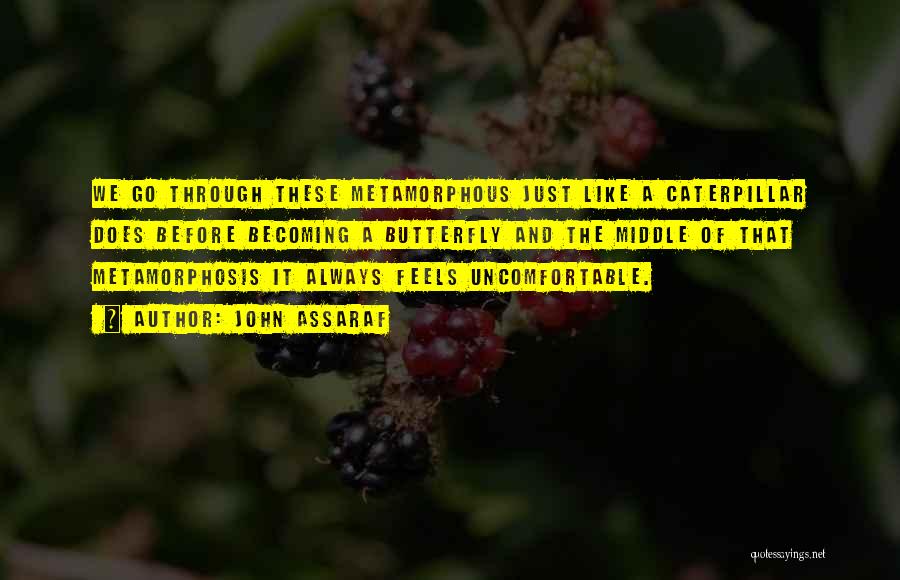 John Assaraf Quotes: We Go Through These Metamorphous Just Like A Caterpillar Does Before Becoming A Butterfly And The Middle Of That Metamorphosis