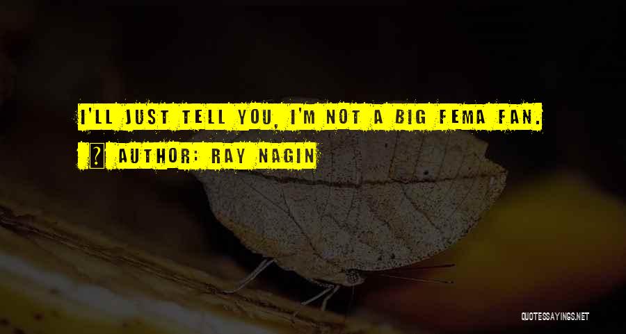 Ray Nagin Quotes: I'll Just Tell You, I'm Not A Big Fema Fan.