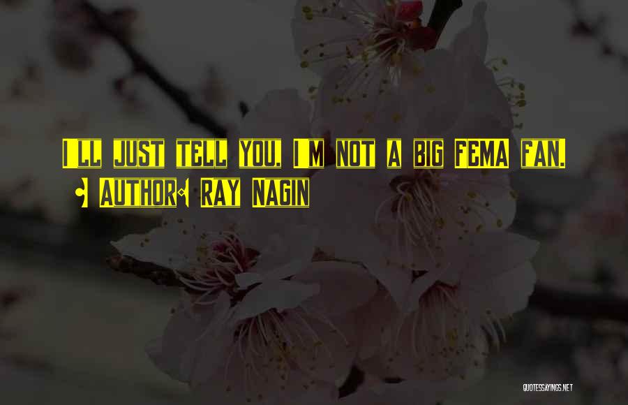 Ray Nagin Quotes: I'll Just Tell You, I'm Not A Big Fema Fan.