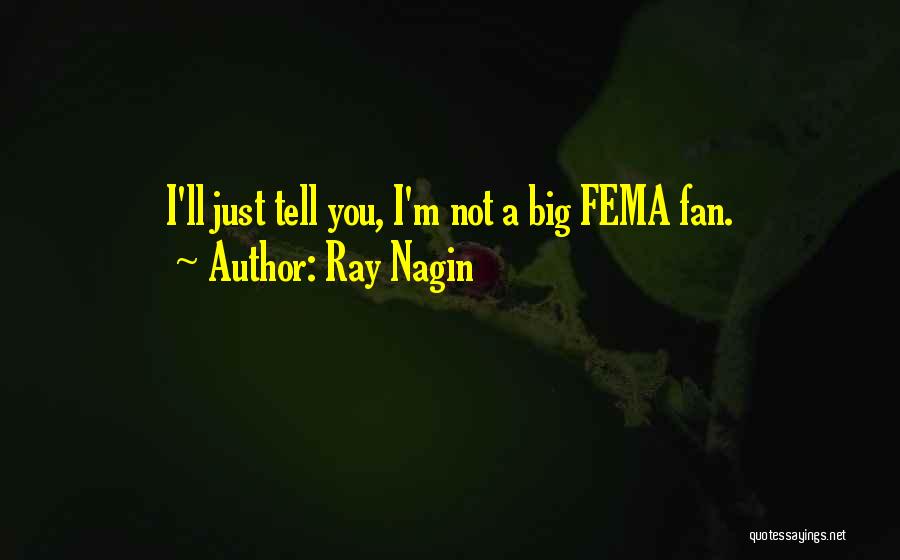 Ray Nagin Quotes: I'll Just Tell You, I'm Not A Big Fema Fan.