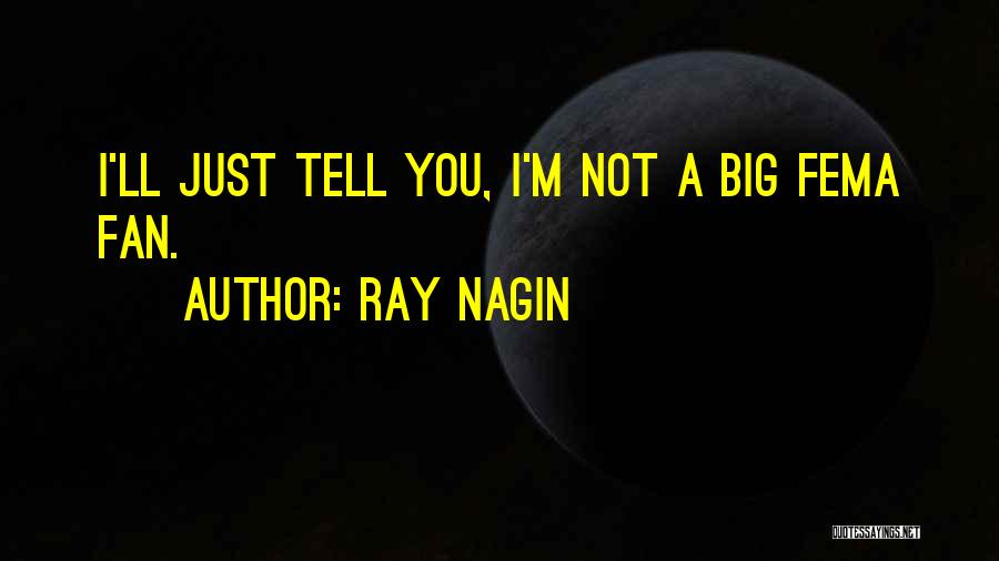 Ray Nagin Quotes: I'll Just Tell You, I'm Not A Big Fema Fan.
