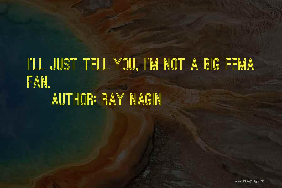 Ray Nagin Quotes: I'll Just Tell You, I'm Not A Big Fema Fan.