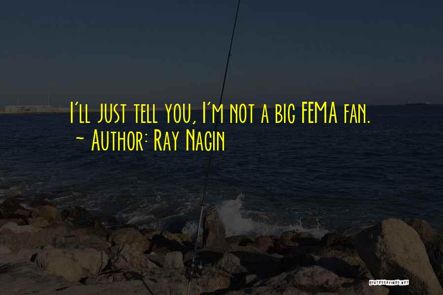 Ray Nagin Quotes: I'll Just Tell You, I'm Not A Big Fema Fan.