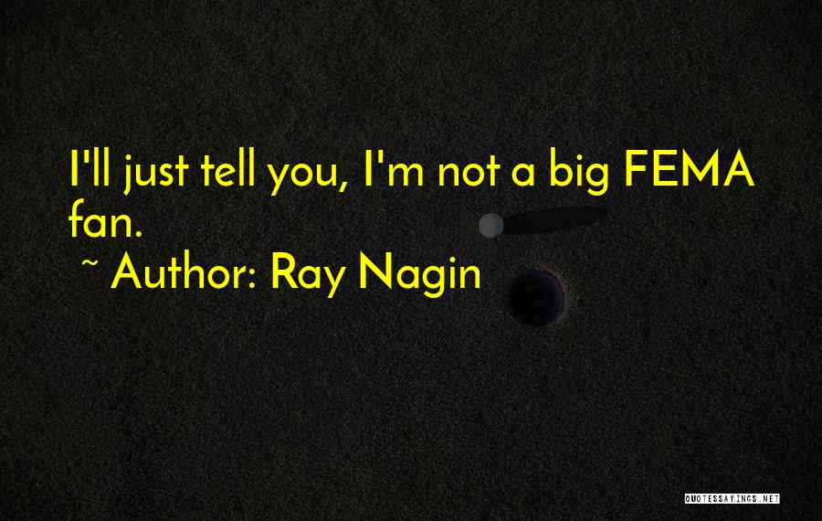 Ray Nagin Quotes: I'll Just Tell You, I'm Not A Big Fema Fan.