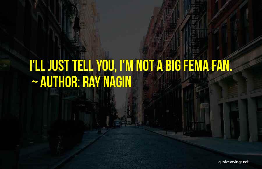 Ray Nagin Quotes: I'll Just Tell You, I'm Not A Big Fema Fan.