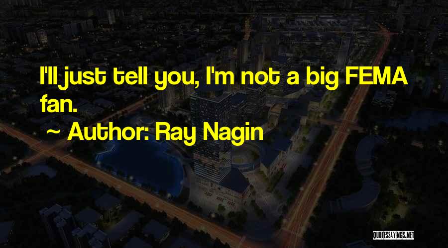 Ray Nagin Quotes: I'll Just Tell You, I'm Not A Big Fema Fan.