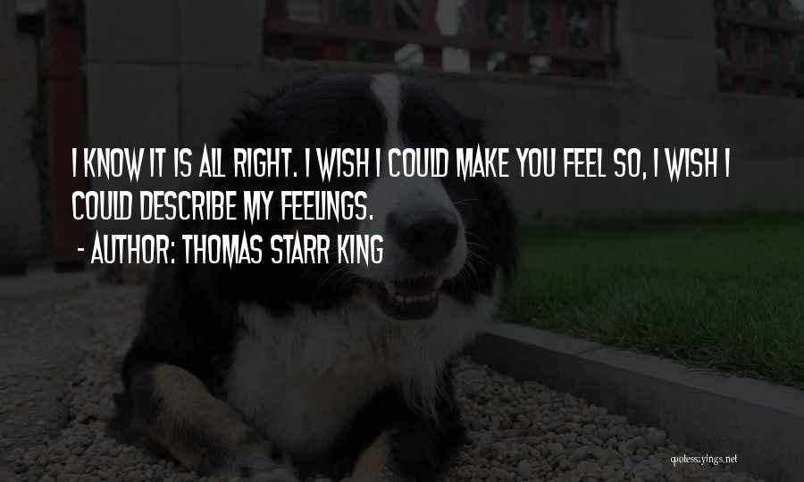 Thomas Starr King Quotes: I Know It Is All Right. I Wish I Could Make You Feel So, I Wish I Could Describe My