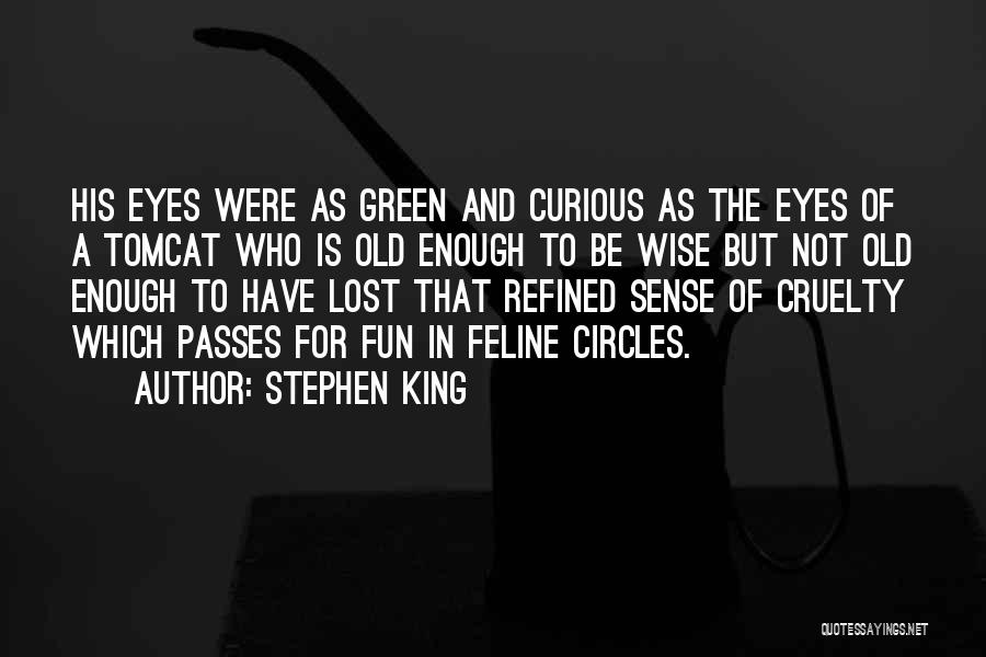 Stephen King Quotes: His Eyes Were As Green And Curious As The Eyes Of A Tomcat Who Is Old Enough To Be Wise