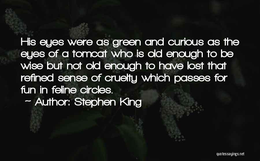 Stephen King Quotes: His Eyes Were As Green And Curious As The Eyes Of A Tomcat Who Is Old Enough To Be Wise