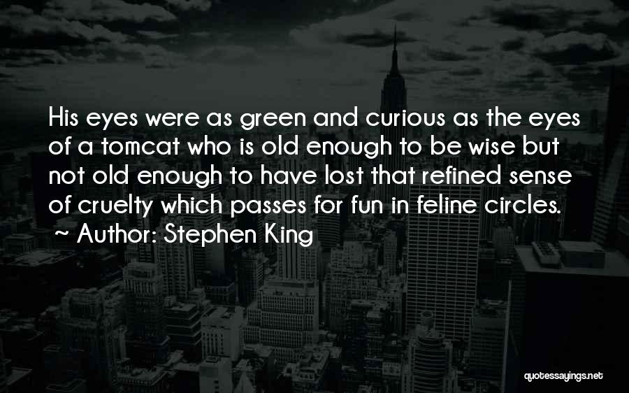 Stephen King Quotes: His Eyes Were As Green And Curious As The Eyes Of A Tomcat Who Is Old Enough To Be Wise