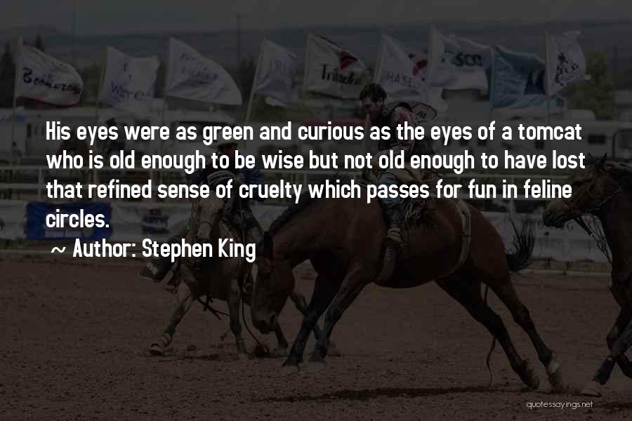 Stephen King Quotes: His Eyes Were As Green And Curious As The Eyes Of A Tomcat Who Is Old Enough To Be Wise