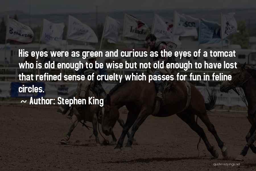 Stephen King Quotes: His Eyes Were As Green And Curious As The Eyes Of A Tomcat Who Is Old Enough To Be Wise