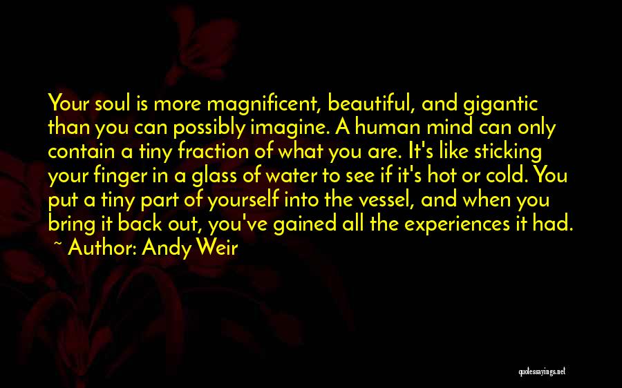 Andy Weir Quotes: Your Soul Is More Magnificent, Beautiful, And Gigantic Than You Can Possibly Imagine. A Human Mind Can Only Contain A