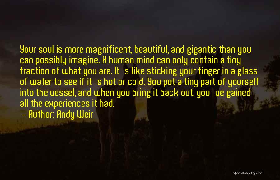 Andy Weir Quotes: Your Soul Is More Magnificent, Beautiful, And Gigantic Than You Can Possibly Imagine. A Human Mind Can Only Contain A