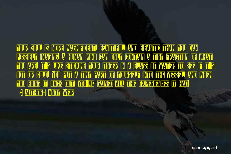 Andy Weir Quotes: Your Soul Is More Magnificent, Beautiful, And Gigantic Than You Can Possibly Imagine. A Human Mind Can Only Contain A