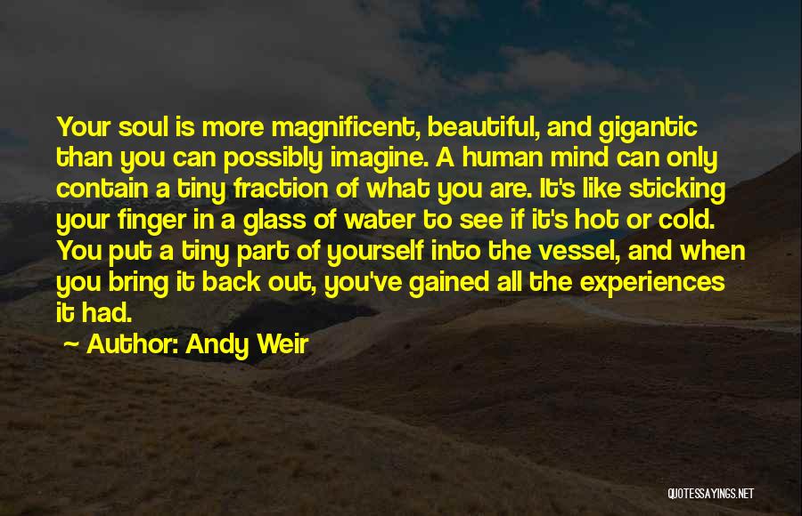 Andy Weir Quotes: Your Soul Is More Magnificent, Beautiful, And Gigantic Than You Can Possibly Imagine. A Human Mind Can Only Contain A