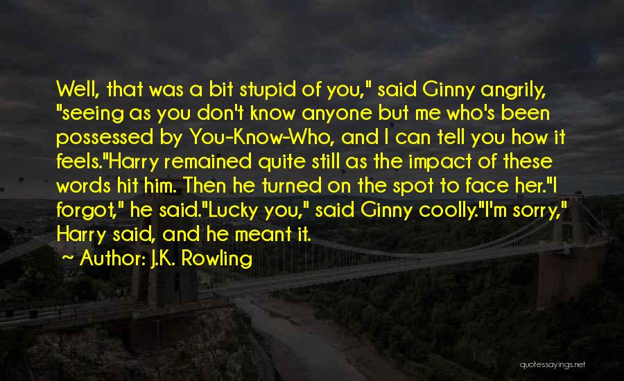 J.K. Rowling Quotes: Well, That Was A Bit Stupid Of You, Said Ginny Angrily, Seeing As You Don't Know Anyone But Me Who's