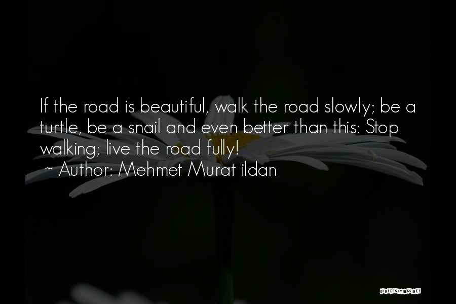 Mehmet Murat Ildan Quotes: If The Road Is Beautiful, Walk The Road Slowly; Be A Turtle, Be A Snail And Even Better Than This:
