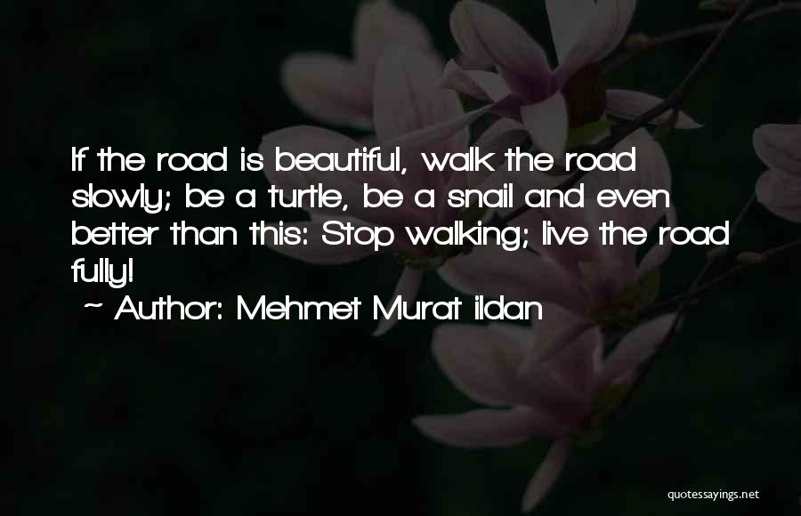 Mehmet Murat Ildan Quotes: If The Road Is Beautiful, Walk The Road Slowly; Be A Turtle, Be A Snail And Even Better Than This: