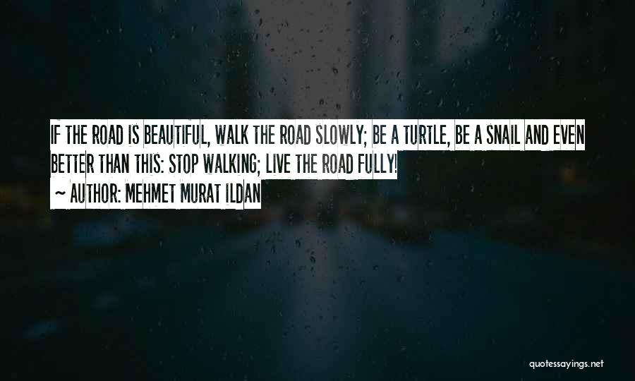 Mehmet Murat Ildan Quotes: If The Road Is Beautiful, Walk The Road Slowly; Be A Turtle, Be A Snail And Even Better Than This: