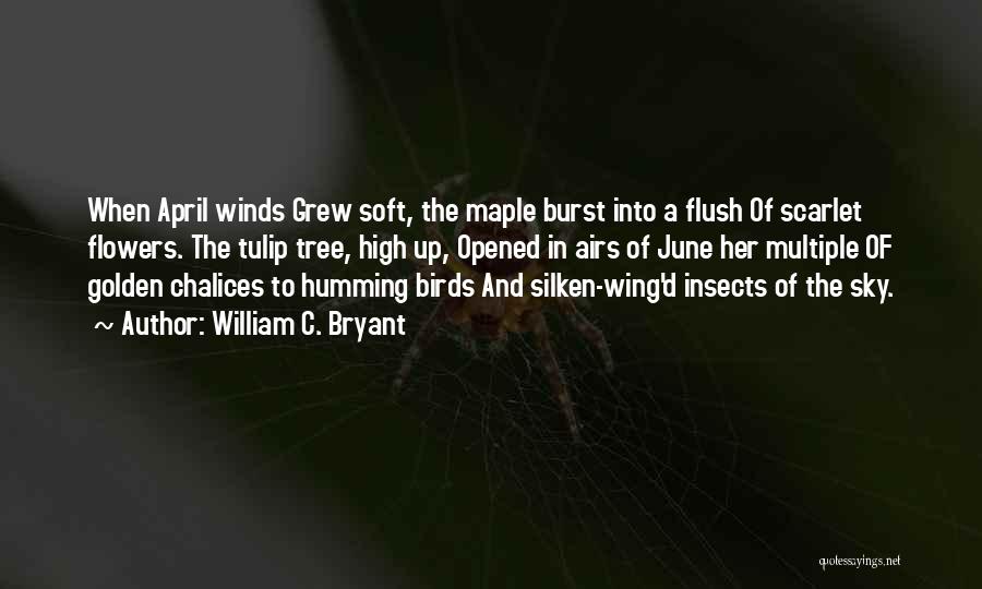 William C. Bryant Quotes: When April Winds Grew Soft, The Maple Burst Into A Flush Of Scarlet Flowers. The Tulip Tree, High Up, Opened