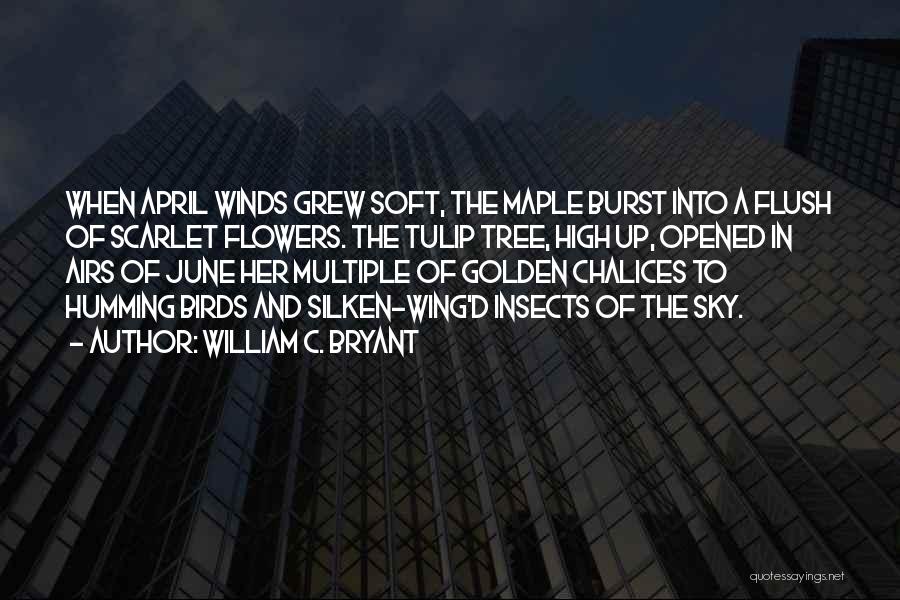 William C. Bryant Quotes: When April Winds Grew Soft, The Maple Burst Into A Flush Of Scarlet Flowers. The Tulip Tree, High Up, Opened