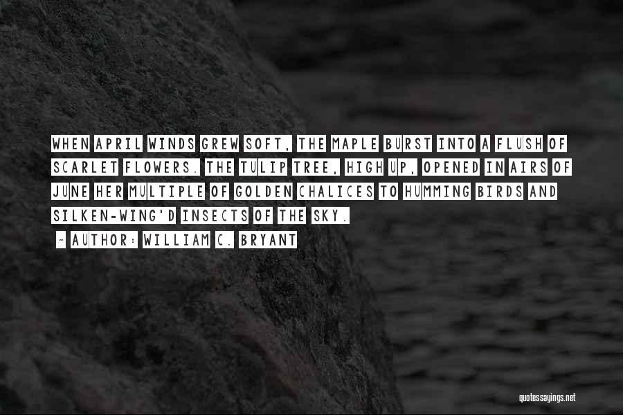 William C. Bryant Quotes: When April Winds Grew Soft, The Maple Burst Into A Flush Of Scarlet Flowers. The Tulip Tree, High Up, Opened