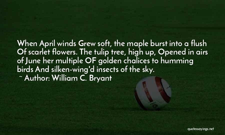 William C. Bryant Quotes: When April Winds Grew Soft, The Maple Burst Into A Flush Of Scarlet Flowers. The Tulip Tree, High Up, Opened