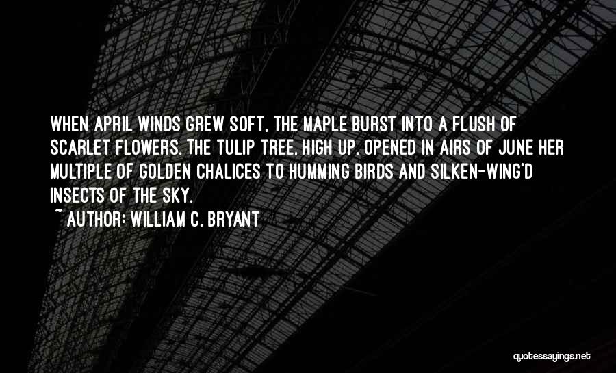 William C. Bryant Quotes: When April Winds Grew Soft, The Maple Burst Into A Flush Of Scarlet Flowers. The Tulip Tree, High Up, Opened