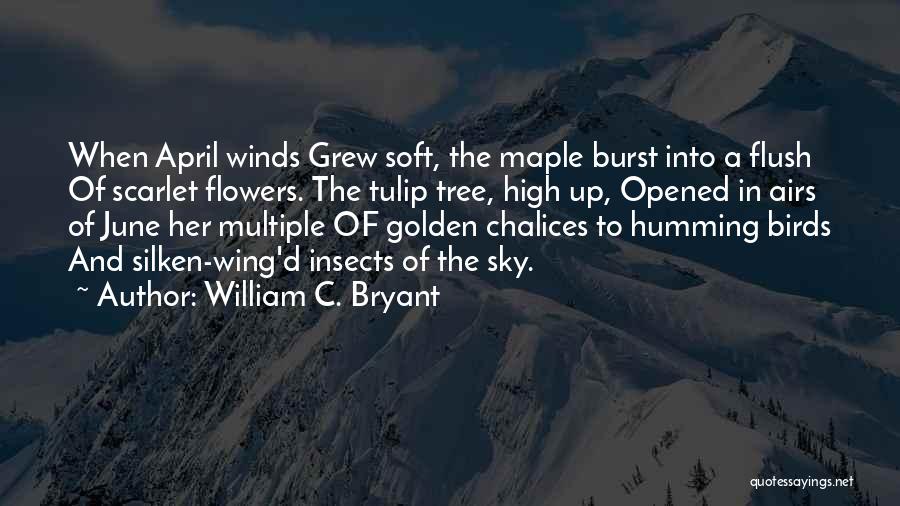 William C. Bryant Quotes: When April Winds Grew Soft, The Maple Burst Into A Flush Of Scarlet Flowers. The Tulip Tree, High Up, Opened