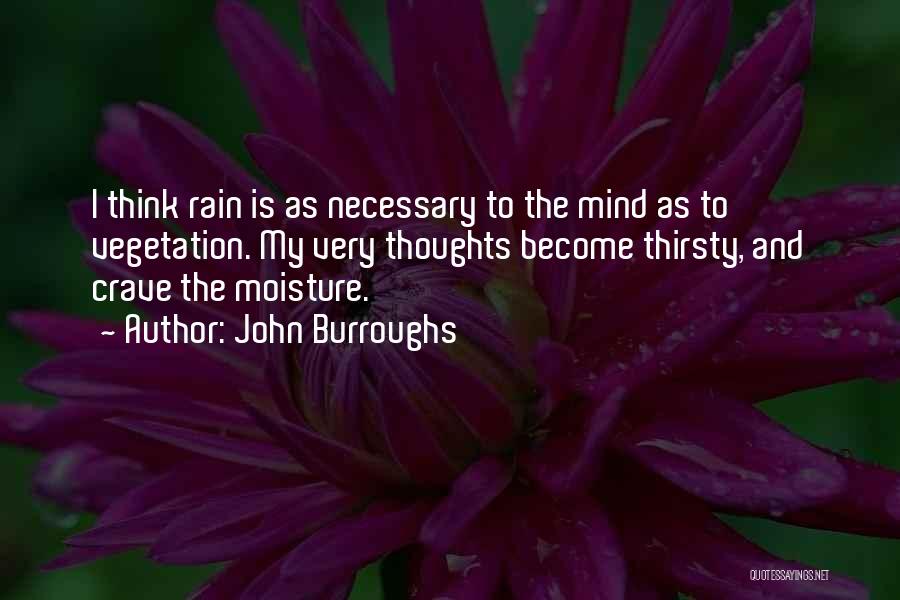 John Burroughs Quotes: I Think Rain Is As Necessary To The Mind As To Vegetation. My Very Thoughts Become Thirsty, And Crave The