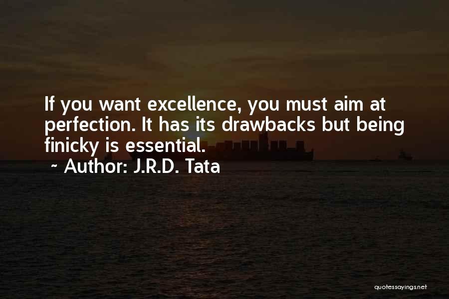 J.R.D. Tata Quotes: If You Want Excellence, You Must Aim At Perfection. It Has Its Drawbacks But Being Finicky Is Essential.