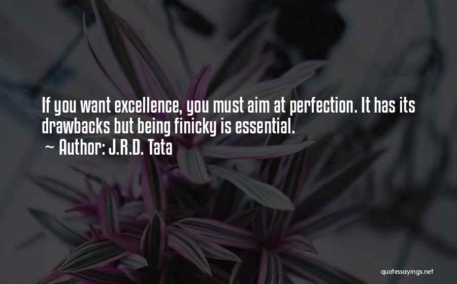 J.R.D. Tata Quotes: If You Want Excellence, You Must Aim At Perfection. It Has Its Drawbacks But Being Finicky Is Essential.
