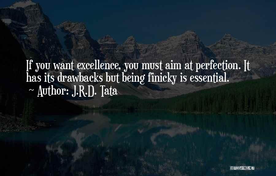 J.R.D. Tata Quotes: If You Want Excellence, You Must Aim At Perfection. It Has Its Drawbacks But Being Finicky Is Essential.