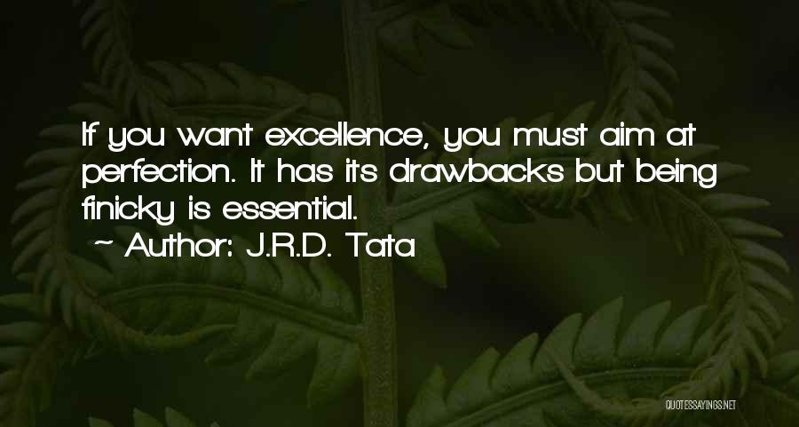 J.R.D. Tata Quotes: If You Want Excellence, You Must Aim At Perfection. It Has Its Drawbacks But Being Finicky Is Essential.