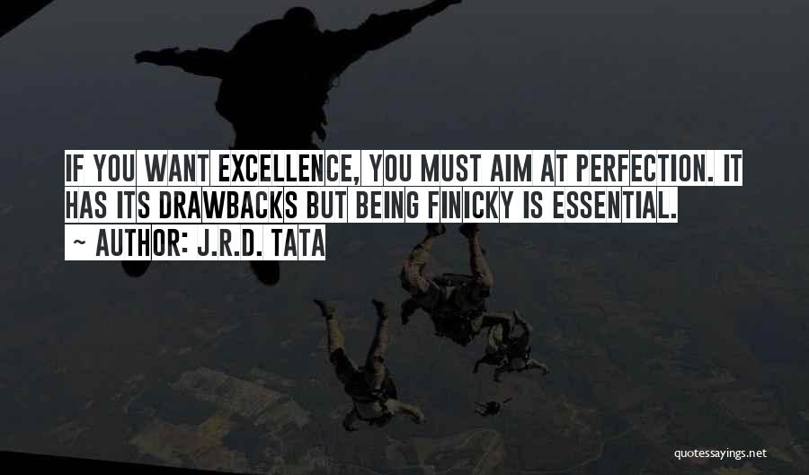 J.R.D. Tata Quotes: If You Want Excellence, You Must Aim At Perfection. It Has Its Drawbacks But Being Finicky Is Essential.