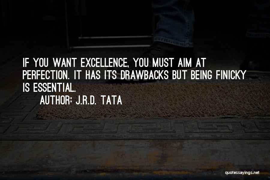 J.R.D. Tata Quotes: If You Want Excellence, You Must Aim At Perfection. It Has Its Drawbacks But Being Finicky Is Essential.