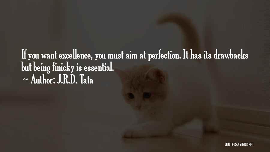 J.R.D. Tata Quotes: If You Want Excellence, You Must Aim At Perfection. It Has Its Drawbacks But Being Finicky Is Essential.