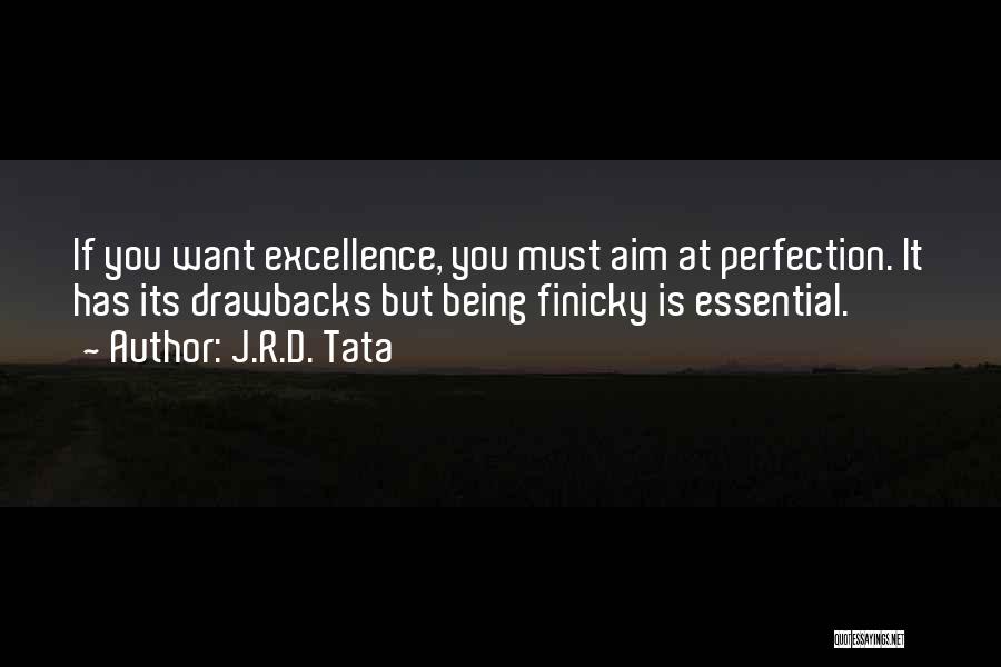 J.R.D. Tata Quotes: If You Want Excellence, You Must Aim At Perfection. It Has Its Drawbacks But Being Finicky Is Essential.