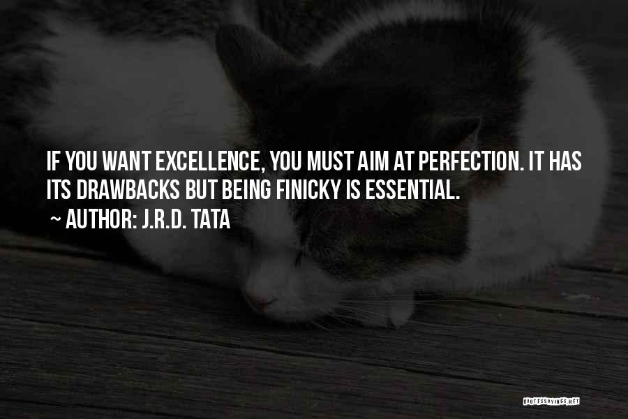 J.R.D. Tata Quotes: If You Want Excellence, You Must Aim At Perfection. It Has Its Drawbacks But Being Finicky Is Essential.