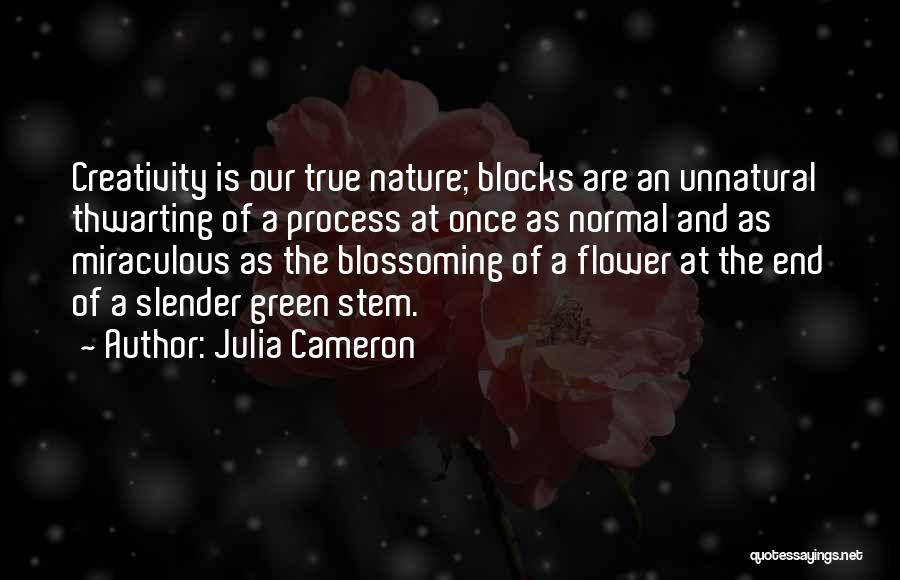 Julia Cameron Quotes: Creativity Is Our True Nature; Blocks Are An Unnatural Thwarting Of A Process At Once As Normal And As Miraculous