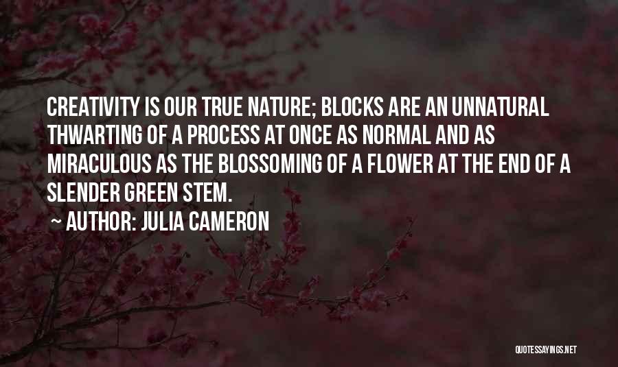 Julia Cameron Quotes: Creativity Is Our True Nature; Blocks Are An Unnatural Thwarting Of A Process At Once As Normal And As Miraculous