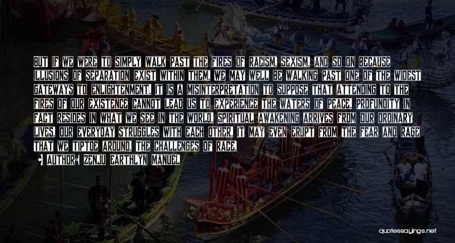 Zenju Earthlyn Manuel Quotes: But If We Were To Simply Walk Past The Fires Of Racism, Sexism, And So On Because Illusions Of Separation