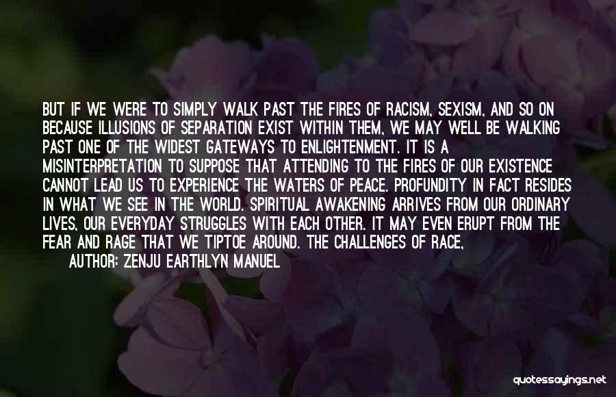 Zenju Earthlyn Manuel Quotes: But If We Were To Simply Walk Past The Fires Of Racism, Sexism, And So On Because Illusions Of Separation