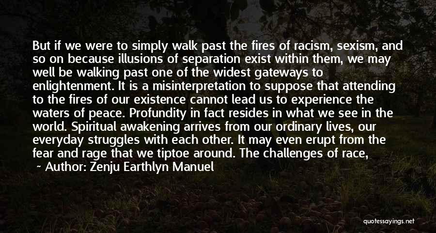 Zenju Earthlyn Manuel Quotes: But If We Were To Simply Walk Past The Fires Of Racism, Sexism, And So On Because Illusions Of Separation