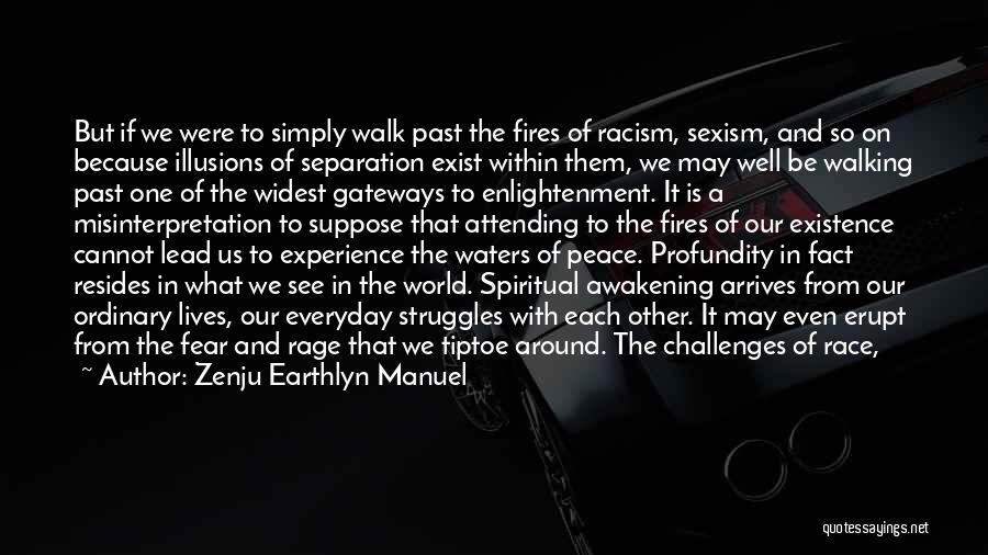 Zenju Earthlyn Manuel Quotes: But If We Were To Simply Walk Past The Fires Of Racism, Sexism, And So On Because Illusions Of Separation