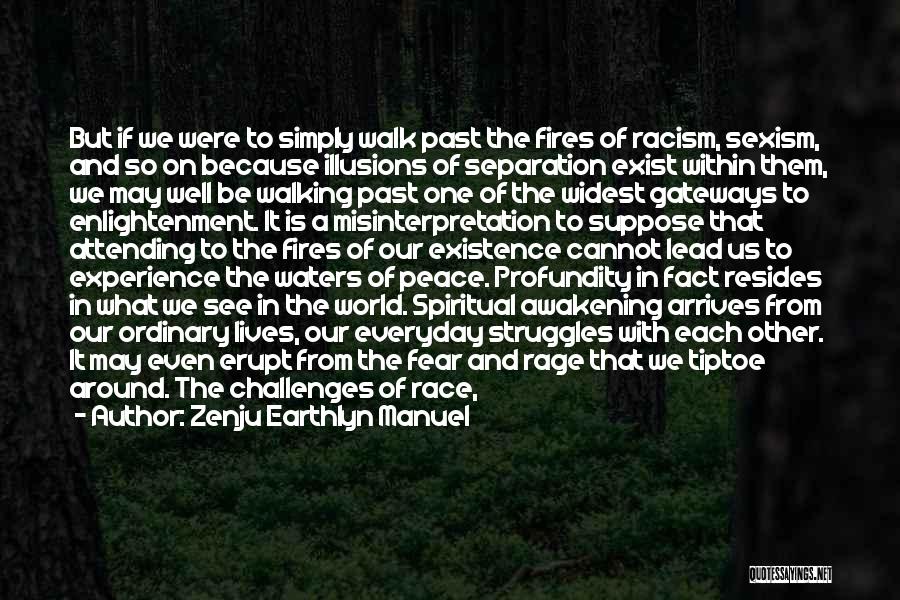 Zenju Earthlyn Manuel Quotes: But If We Were To Simply Walk Past The Fires Of Racism, Sexism, And So On Because Illusions Of Separation