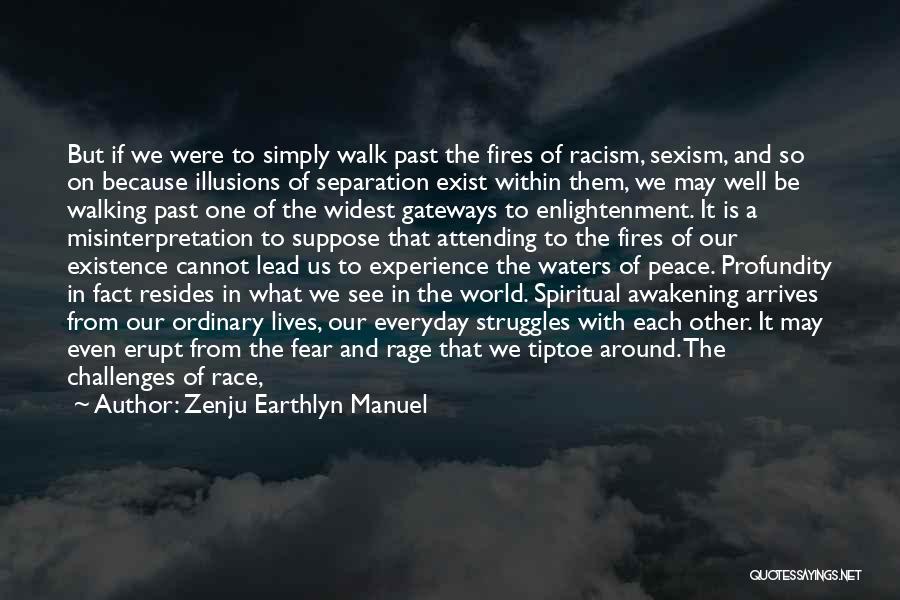 Zenju Earthlyn Manuel Quotes: But If We Were To Simply Walk Past The Fires Of Racism, Sexism, And So On Because Illusions Of Separation