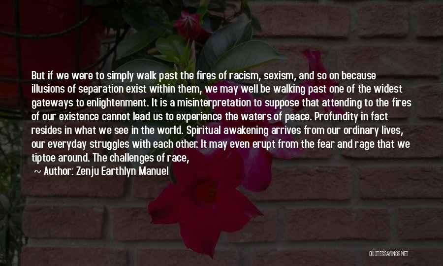 Zenju Earthlyn Manuel Quotes: But If We Were To Simply Walk Past The Fires Of Racism, Sexism, And So On Because Illusions Of Separation